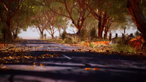 open-road-in-Australia-with-bush-trees