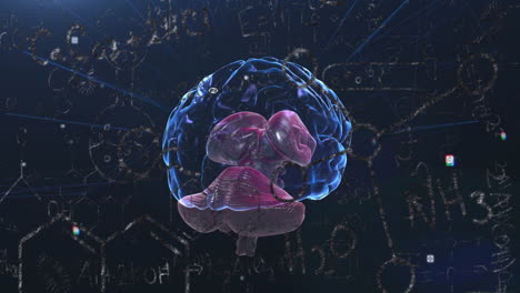 human brain animation over mathematical equations and scientific data