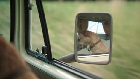 Dog-riding-in-front-passenger-seat-of-van-seen-in-side-view-mirror,-close-up