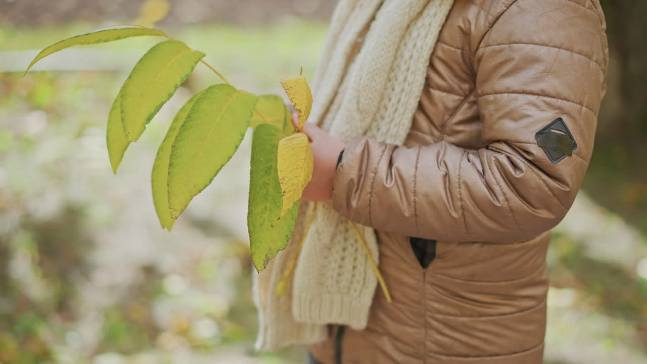 close up side view of child in hood and scarf holding yellow leaf while wearing quilted jacket standing on leaf strewn path under soft focus autumn park background capturing gentle seasonal moment
