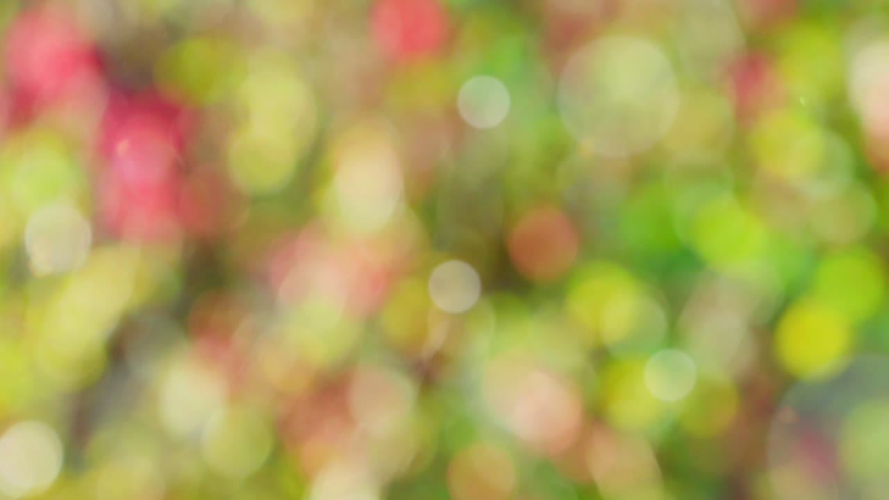Sfondo autunnale astratto con effetto bokeh