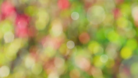 Fondo abstracto de otoño con bokeh