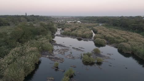 Forward-aerial-along-Komati-River,-reeds-and-bushveld-in-South-Africa,-early-morning-conditions