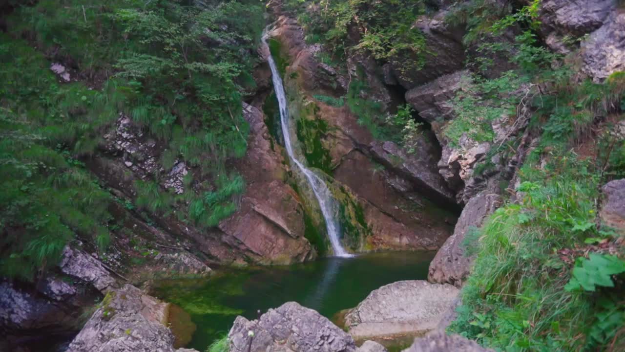Hidden Waterfall in Lush Forest