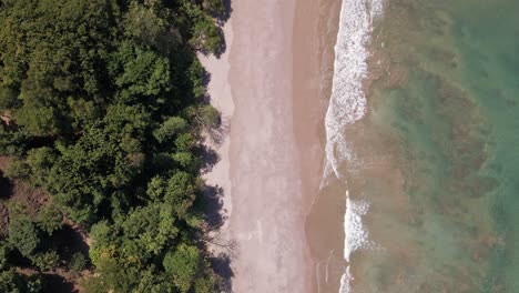 empty dream beach with turquoise water in the tropics where lush flora meets the south pacific