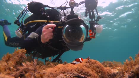 underwater photographer taking pictures of clownfish on shallow coral reef