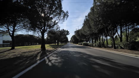 Leere-Straße-Mit-Pinien-Und-Sonnenstrahlen-Montpellier-Frankreich