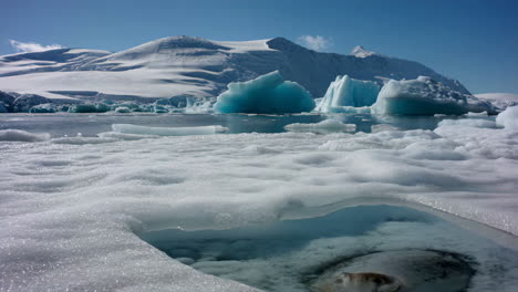 seal in an ice hole with icebergs and snowy mountains