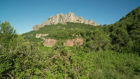 Montserrat-Raw-01