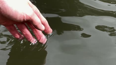 close up of hand touching water in the green forest river or lake