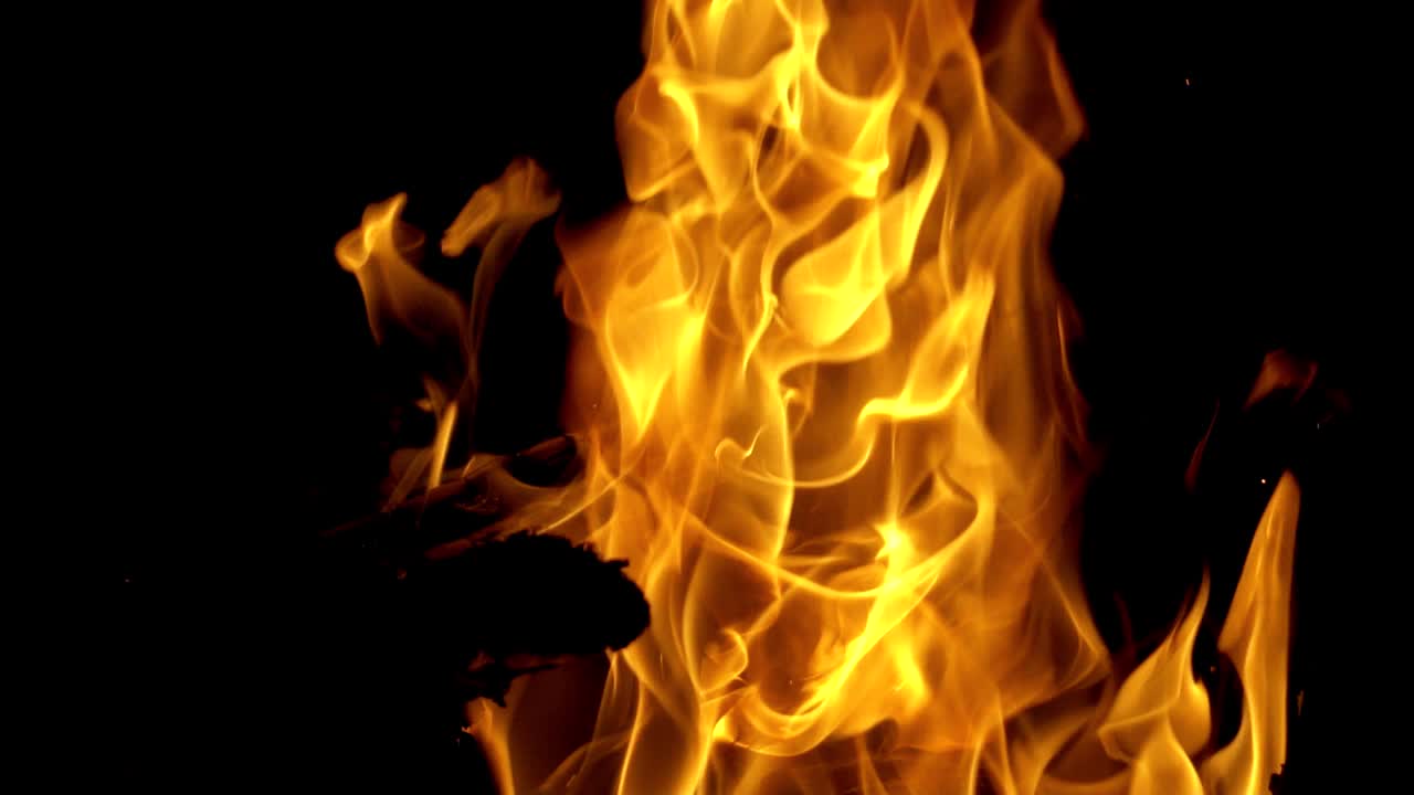 Campfire burning at night. Fire flame in slow motion. Concept of camping and active pastime.