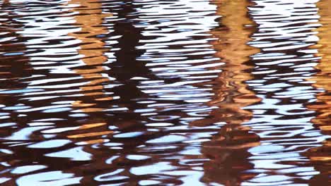 belos reflexos em close-up de postes em um rio