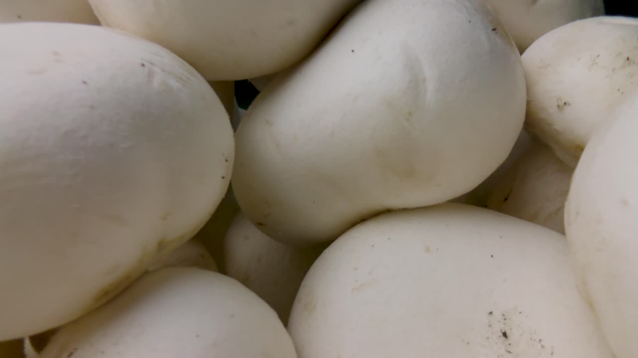 Macro slide champignon mushrooms on a black background. Probe lens dolly shot. Organic food concept. The camera moving through a pile of mushrooms. Close-up. Type F.