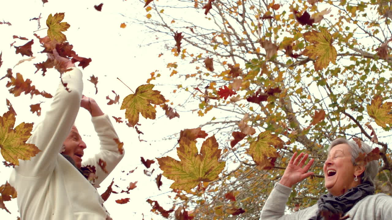 animación de hojas de otoño que caen sobre una feliz pareja de ancianos en el parque