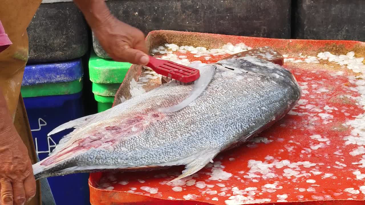 pescador limpiando pescado en el mercado