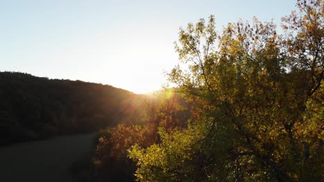 Epische-Drohnenaufnahme-Aus-Der-Luft-Von-Sonnenstrahlen-Auf-Einer-Wiese,-Umgeben-Von-Wald-Bei-Sonnenuntergang-9