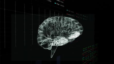 animation of financial data processing over human brain