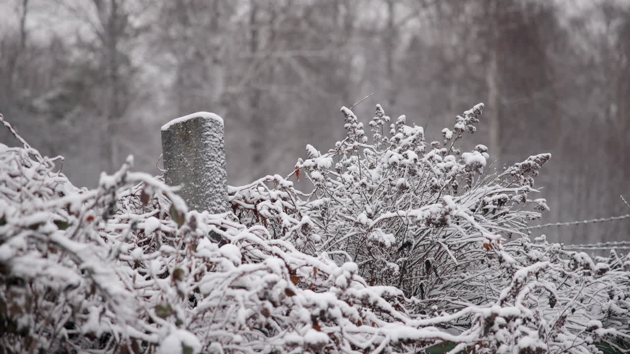 Short title describing the clip