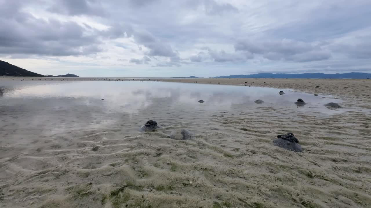 Time lapse footage of marine worms creating sand castings on a tropical beach in Koh Phangan Thailand with scenic mountains in the background during low tide