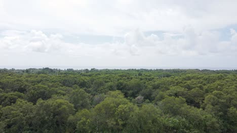 Aerial-ascending-flyover-shot-of-Costa-Rica's-wetlands-bordering-the-warm-pacific-ocean