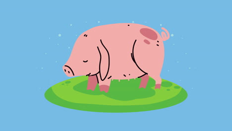 farm lifestyle animation with pig