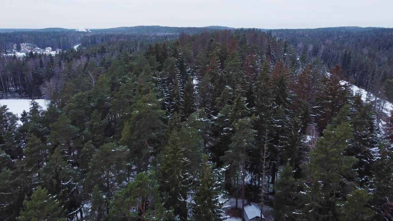 toma aérea de drones de 4k del bosque báltico en invierno, volando hacia adelante, paisaje nevado
