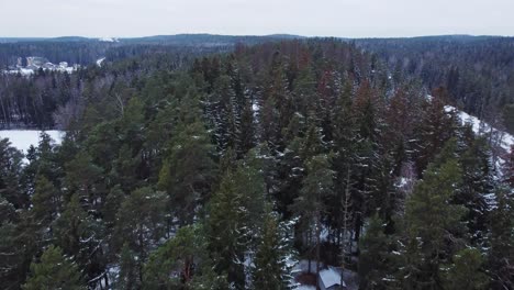 4k aerial drone shot of baltic forest in winter, flying forward, snowy landscape