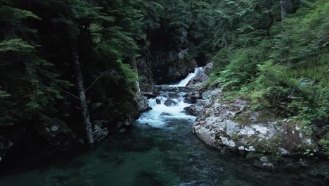 scenic forward shot of small waterfall and river flowing in dense green evergreen forest in the pacific northwest