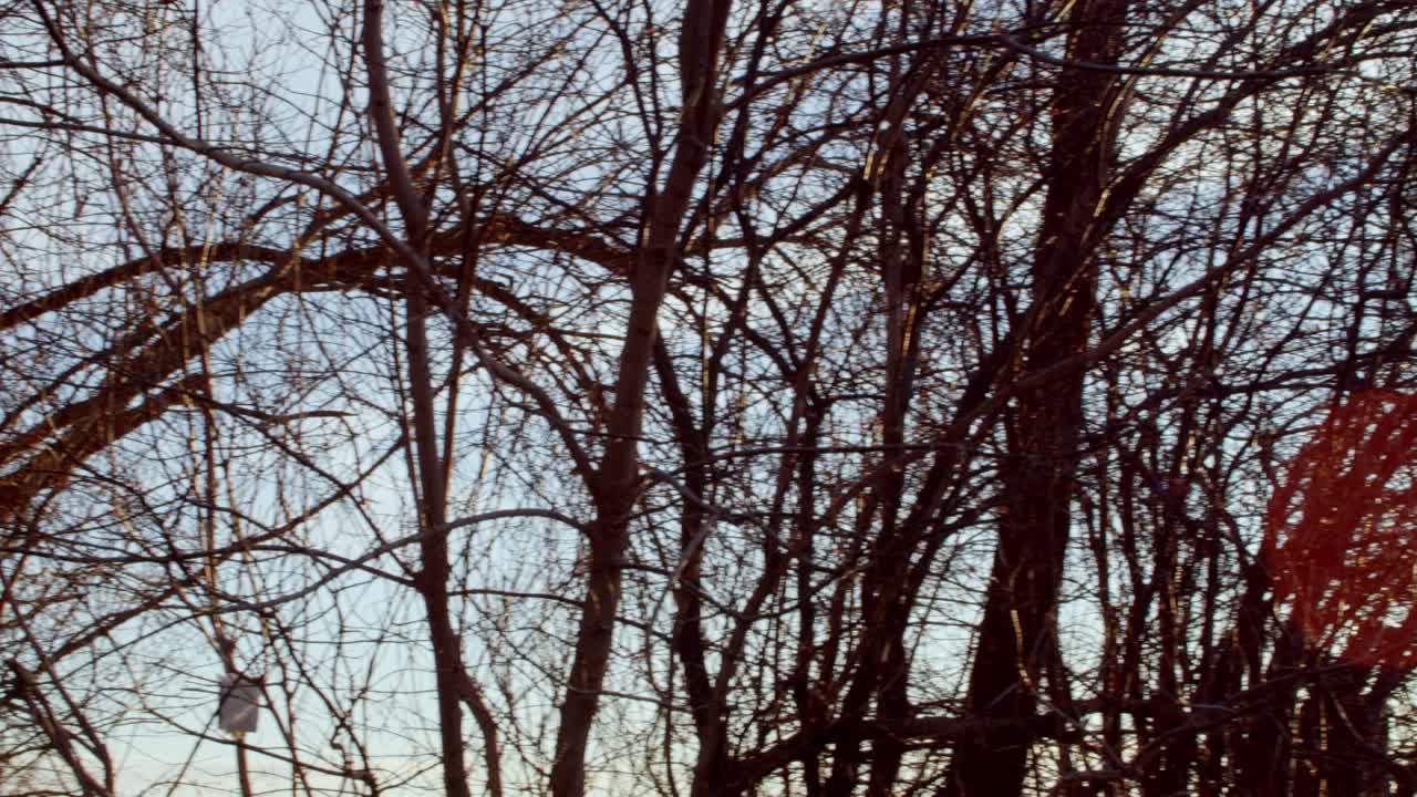 A panning swoosh delivers us across several sets of empty and barren winter tree branches and lands on the shimmering sun in the morning distance.