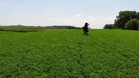 aerial tracking shot of a young woman walking through a beautiful field