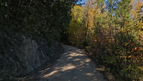 walking path in the mountain, arbúcies, girona