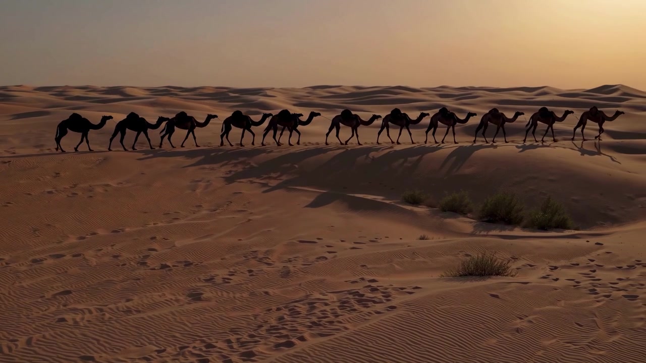 Silhouette di una carovana di cammelli che attraversa dune del deserto al tramonto