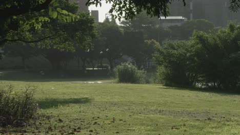 It's-a-beautiful-day-at-Zhishan-Park-in-Taipei,-Taiwan,-with-birds-flying-and-the-sun-shining