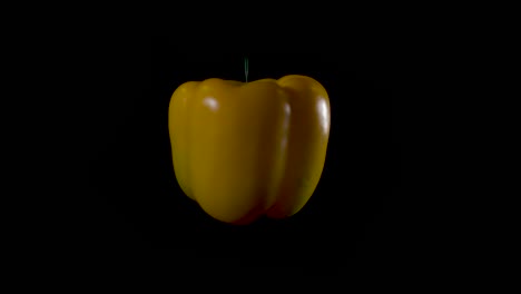 Fresh-organic-yellow-bell-pepper-turns-on-black-studio-background