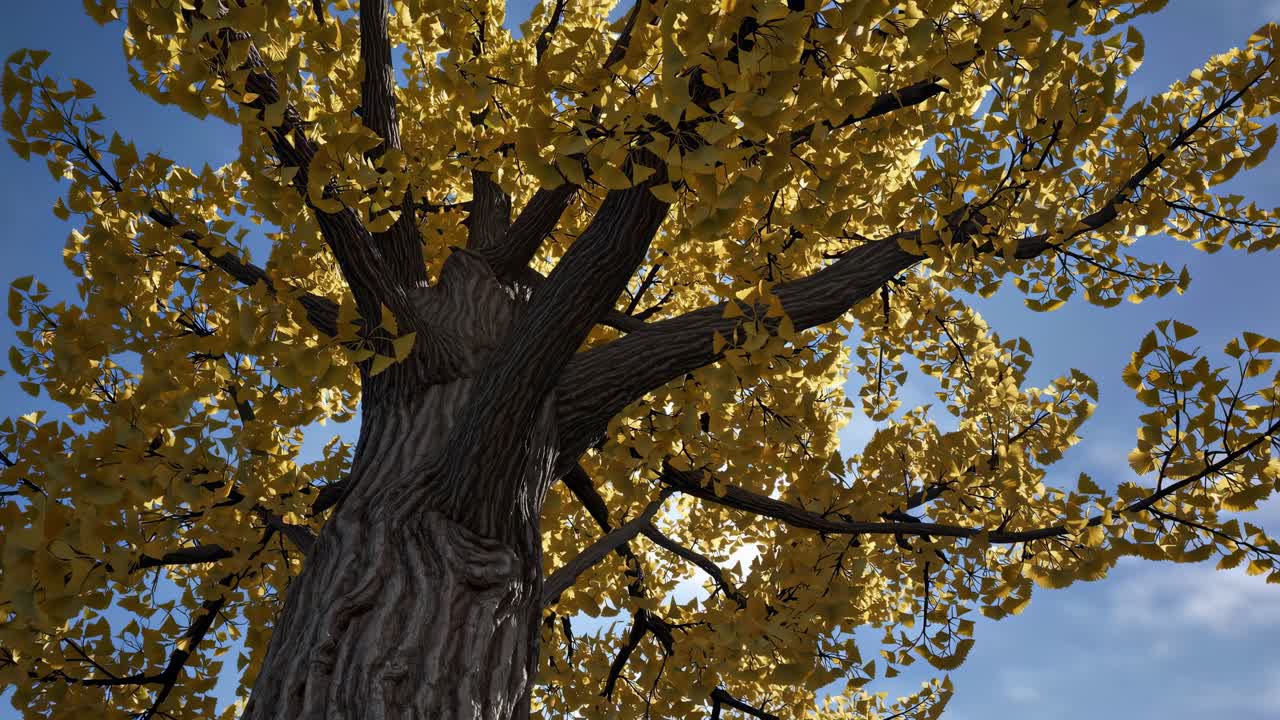 Golden ginkgo tree standing with vibrant foliage, majestic branches spreading against clear blue sky while leaves gently moving in soft seasonal breeze