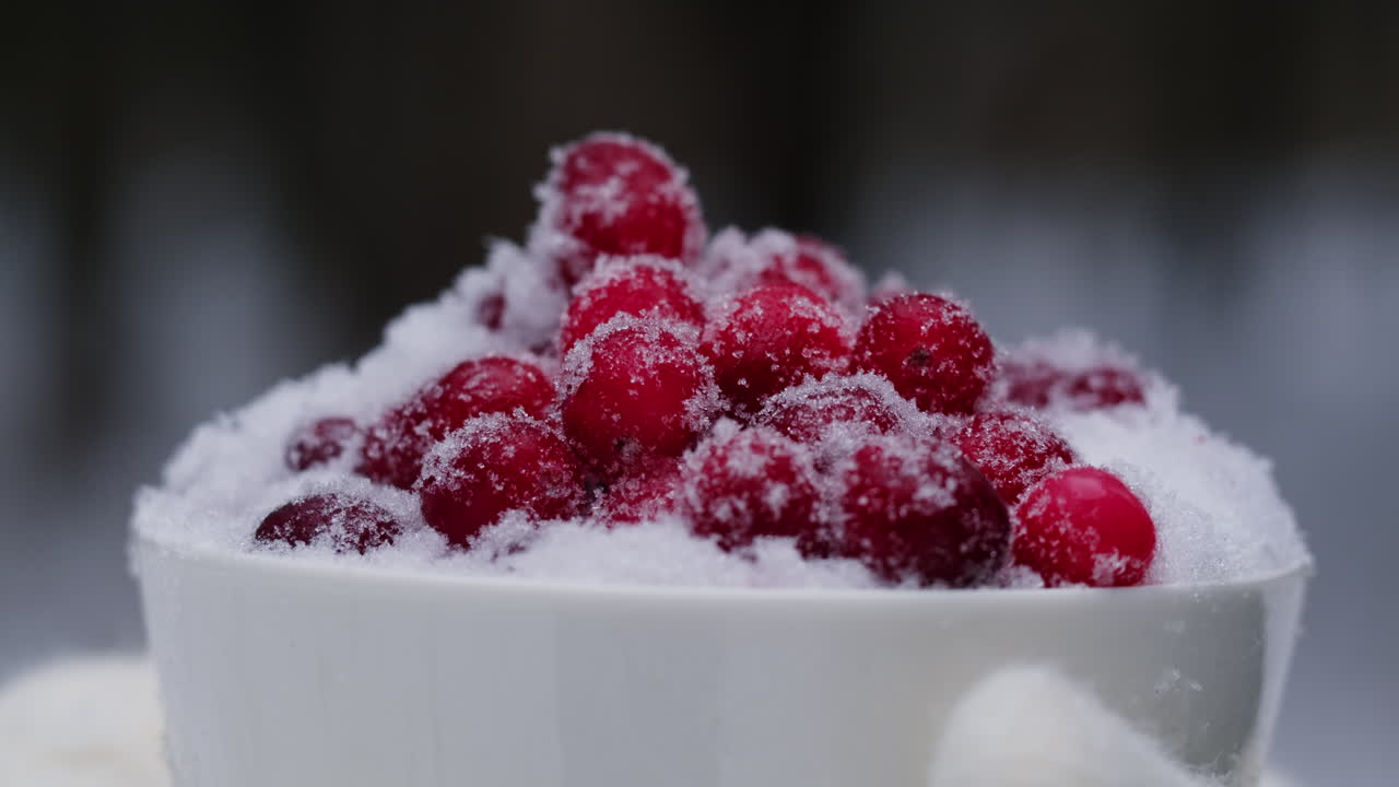 눈으로 인 크랜베리