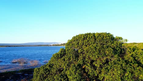 Vista-Del-Bosque-Y-El-Río-4k