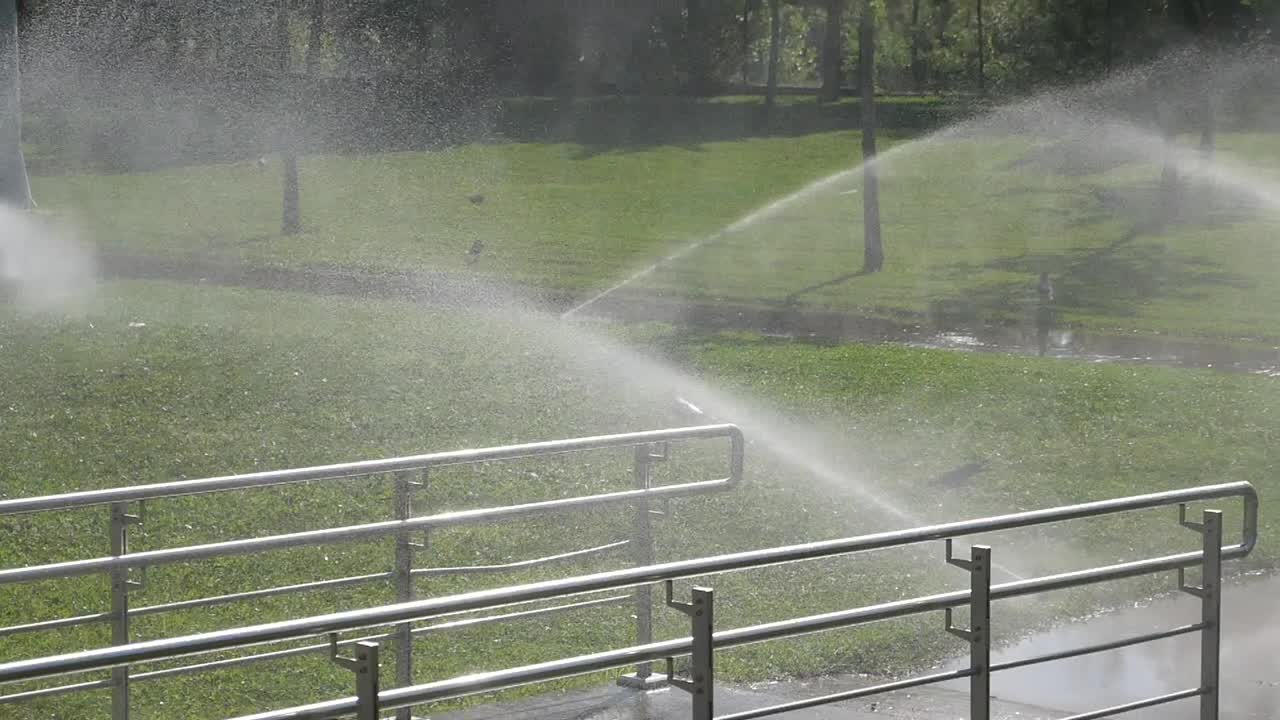 Sprinklers watering the lawn