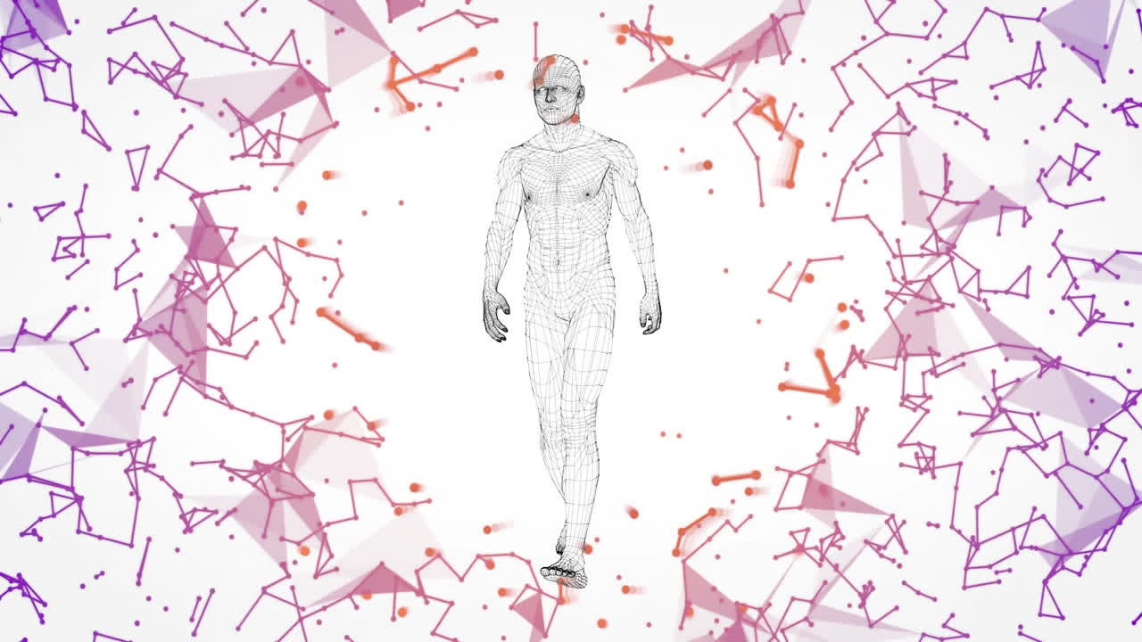 animación de un modelo humano digital a través de una red de conexiones sobre un fondo blanco