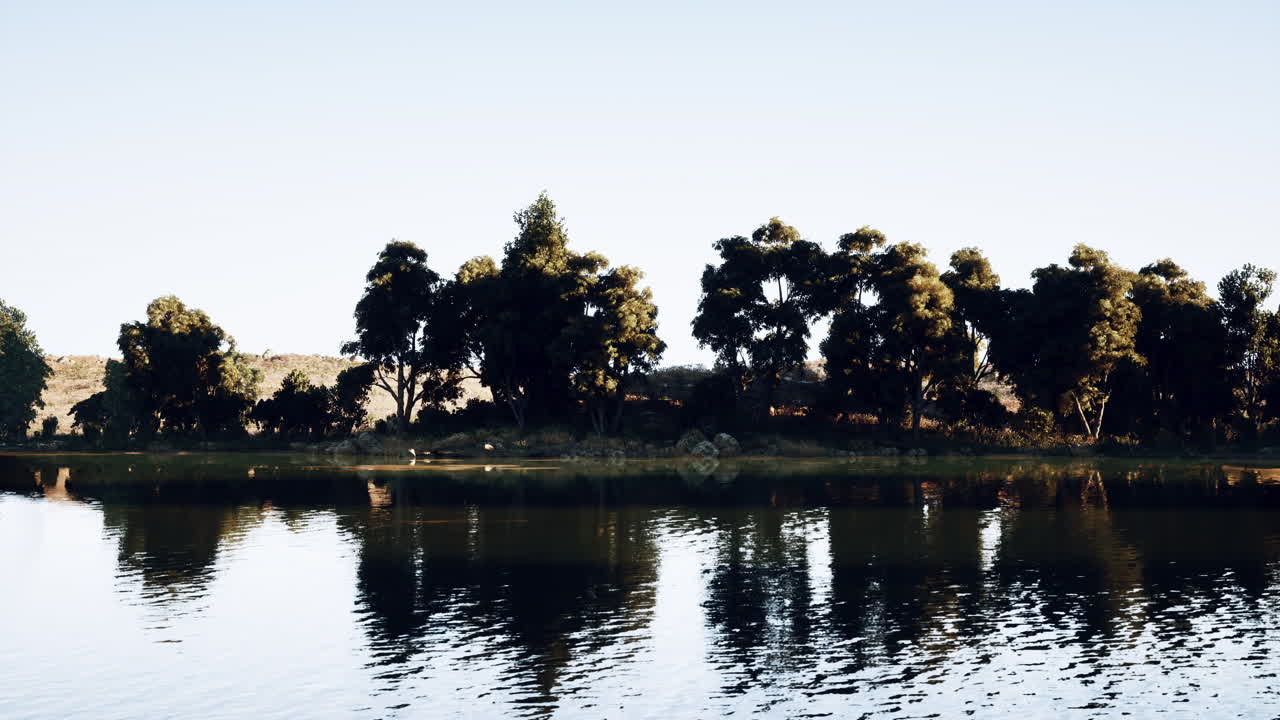 물 에 반사 되는 나무 들 이 있는 조용 한 호수