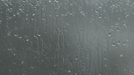 rain drops on window glass