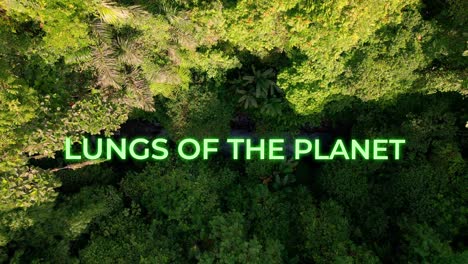 lungs of the planet animation text for a motivational video title over the tropical rainforest