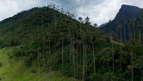 Aerial-drone-view-of-Cocora-Valley,-Salento,-Colombia