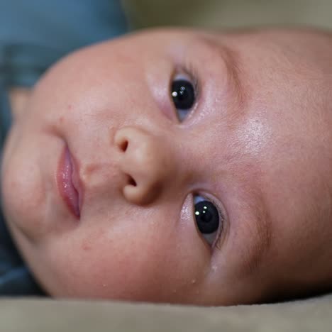 adorable baby face looking in camera. grey-eyed baby lying with his head facing camera. close up