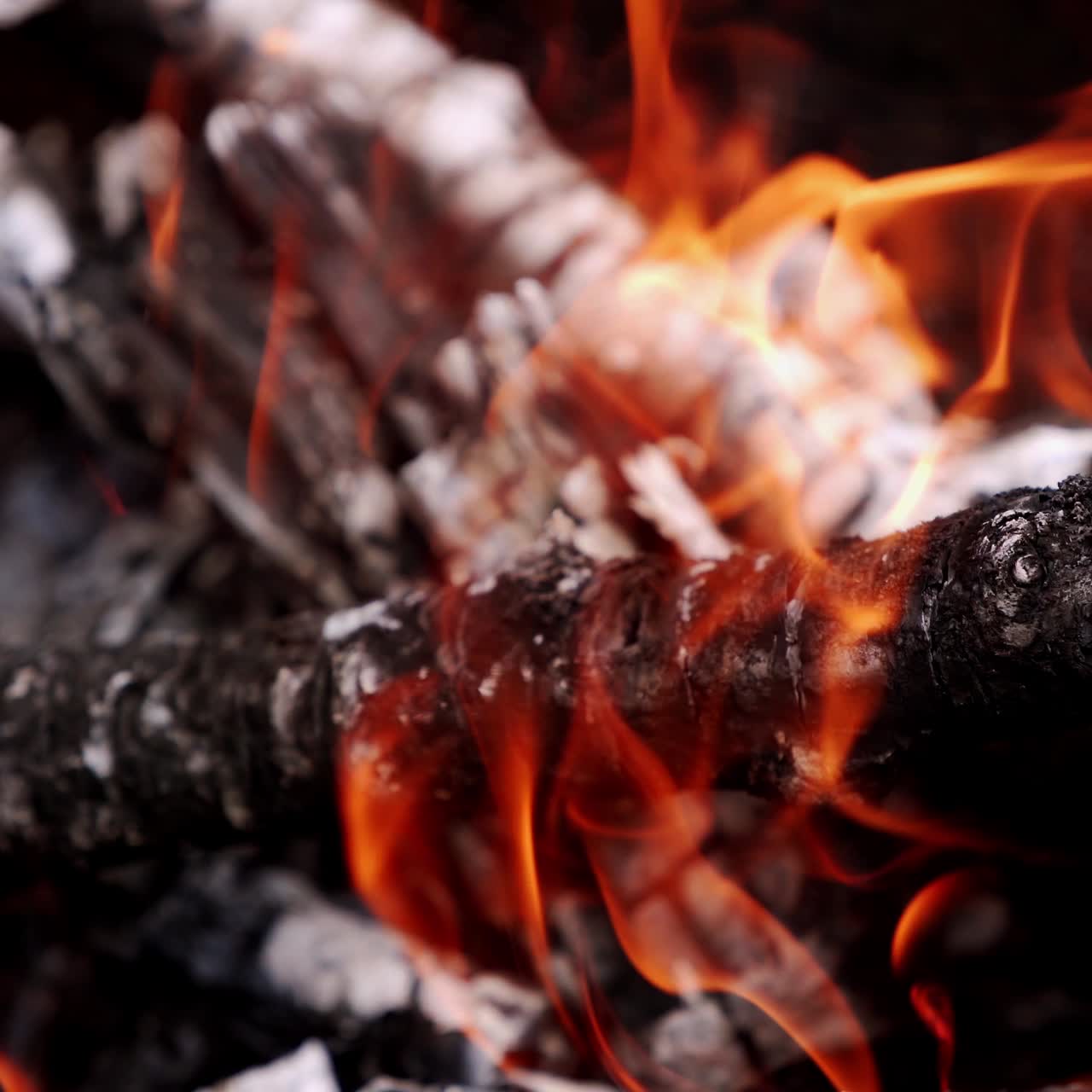 Firewood in flame close up