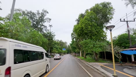 coastal road with lush vegetation and parking areas