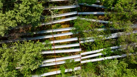 Langsam-Ansteigender-Schuss-über-Reihen-Von-Dachrinnen-Im-Wald-Von-Celaneuve-In-Der-Nähe-Von-Montpellier