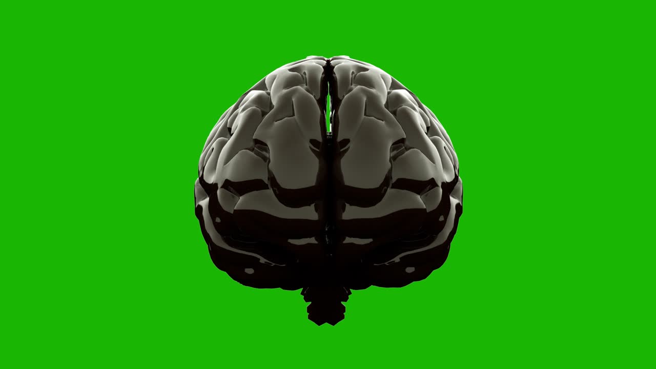 Black glossy brain, isolated on green screen. 3D render