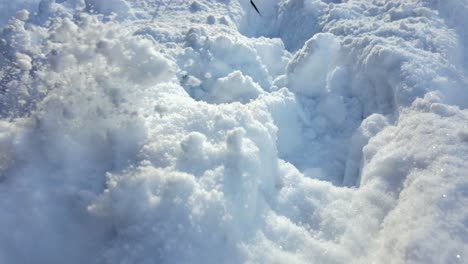 primer plano de la nieve