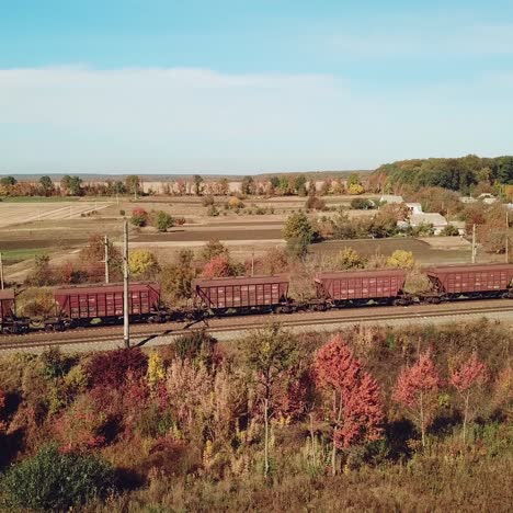 carriages of freight train are passing by rail in the field on the background of buildings of countryside in the summer.